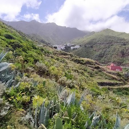Casa-Solarium En La Naturaleza Santa Cruz de Tenerife Dış mekan fotoğraf