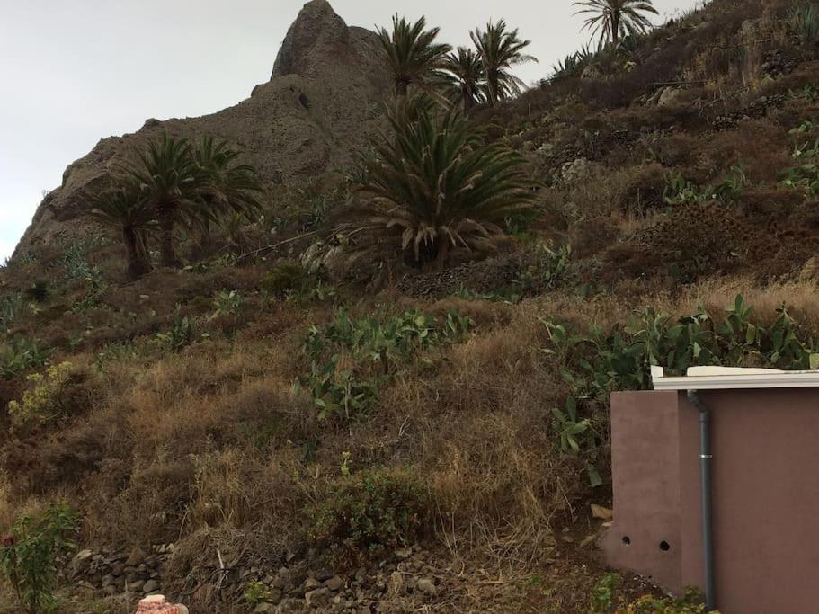 Casa-Solarium En La Naturaleza Santa Cruz de Tenerife Dış mekan fotoğraf