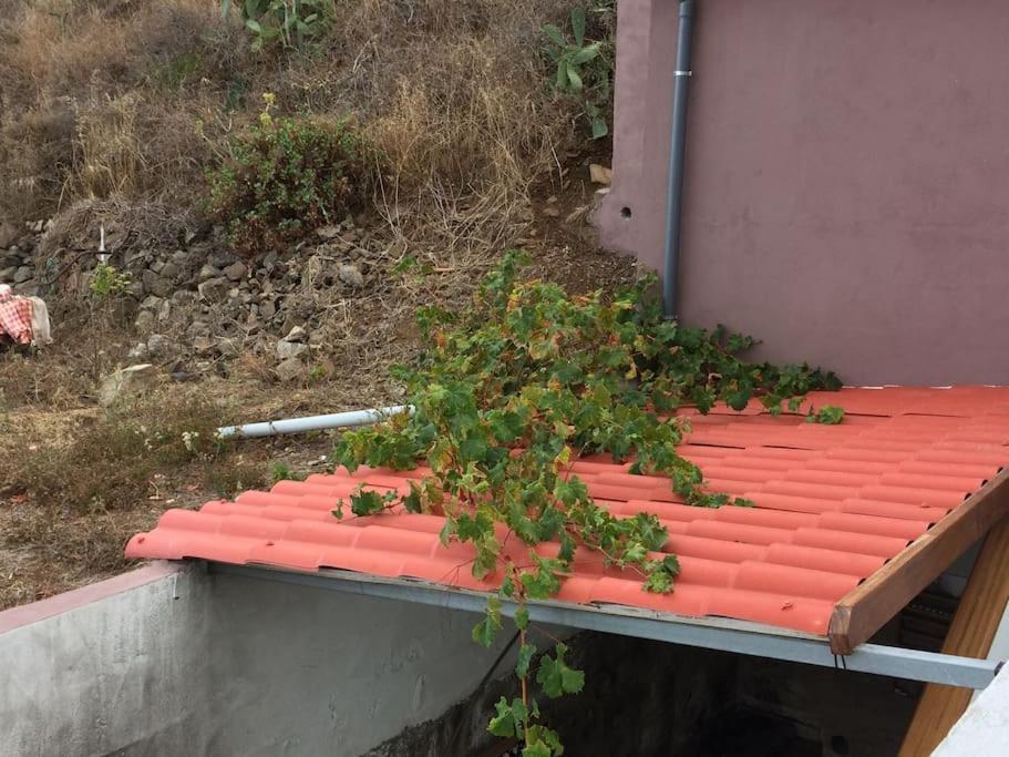 Casa-Solarium En La Naturaleza Santa Cruz de Tenerife Dış mekan fotoğraf