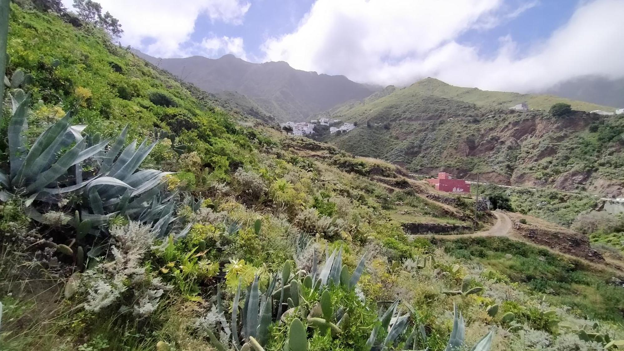 Casa-Solarium En La Naturaleza Santa Cruz de Tenerife Dış mekan fotoğraf